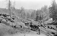 1922 Pioneerville Ralph Reed logging Hall Gulch