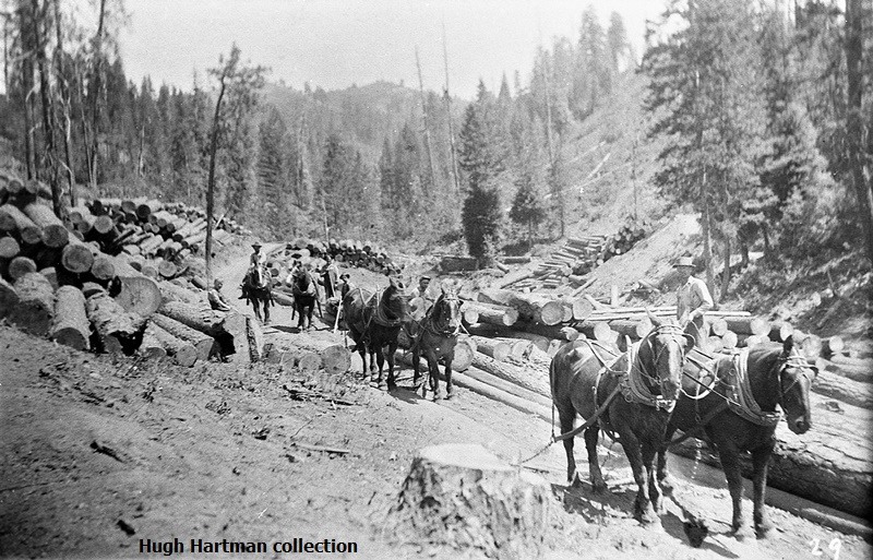 Gem County Historical Society/history/Reed Sawmill Logging Crew